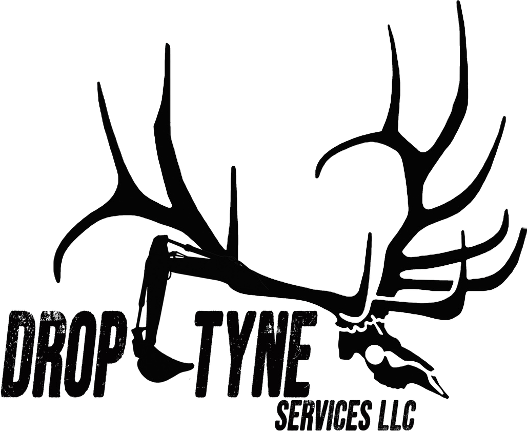 Drop Tyne Services LLC logo