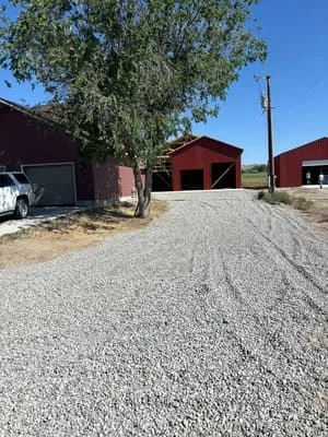 Compacted gravel driveway with agricultural buildings and mature tree