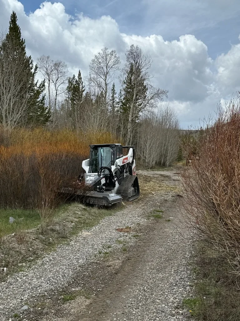Compact track loader with brush cutter clearing dense brush and vegetation from rural property